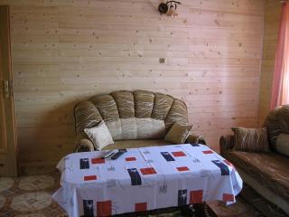 Całoroczne Domki Zacisze Hnatowego Berda w Wetlinie - Wetlina - 1