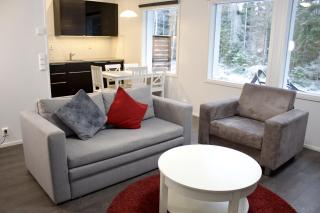 Modern Slope Apartment - Vuokatti - 9