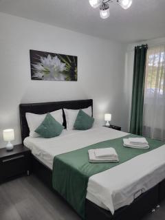 Mona Central Apartment - Hunedoara - 7