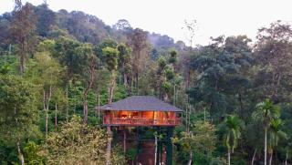 Tranquil Resort - Blusalzz Collection, Wayanad - Kerala - Ambalavayal - 3