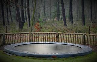 Chalet & Glamping Ons plekje in het bos - Beekbergen - 5