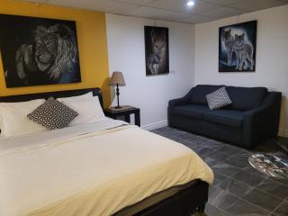 Studio Bellevue - Saint-Félicien - 5