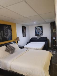 Studio Bellevue - Saint-Félicien - 7