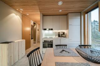 Aurora Chalet B5 by Aavalevi Holidays, Ski-in Ski-out, Mountain View - 7