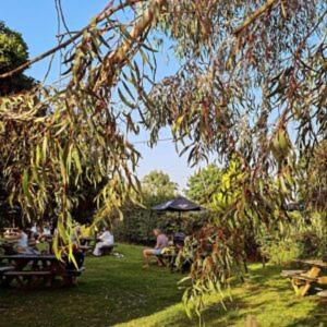 The Mortimer Arms - Romsey - 1