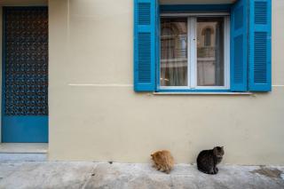 2BR Apt 20 Mins From Acropolis with Washer & Dryer - Athen - 8