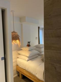 Le Refuge de l'Âne Carotte Aubagne-Cassis-Aix en Provence - Aubagne - 7