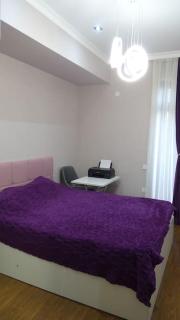 Modern 2 Bedroom Apartment - Baku - 2
