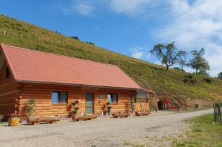 Chalet bambi - Sainte-Marie-aux-Mines - 6