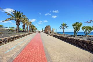 Lanzahost Tabaiba Green - Costa Teguise - 4