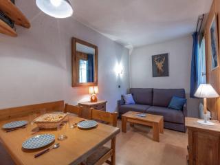 Studio divisible 4 pers, balcon, animaux admis - FR-1-353-63 - La Plagne - 0