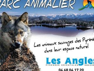 Appartement 2 pièces aux pieds des pistes avec parking, casier à skis et cuisine équipée - FR-1-593-48 - Les Angles - 2