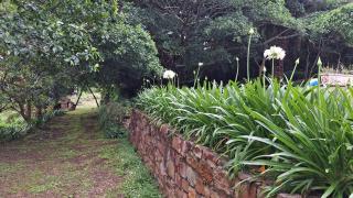 Eagle Owl Cottage - 6
