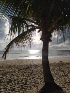 Apartamento praia Cabedelo - Cabedelo - 3