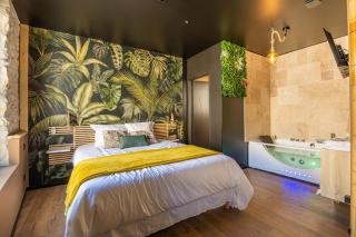 La Jungle Room ~ Balnéo ~ Climatisation - Narbonne - 1