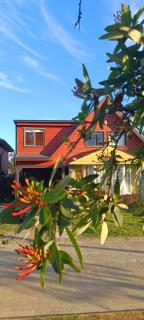 Bosque Valdiviano Apartment - 9