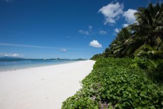 Villas des Alizes beachfront suites and garden villas - Grand'Anse Praslin - 1