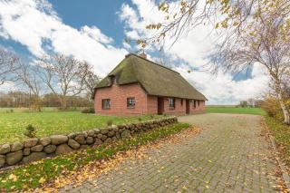 Neukoog Deichzeit - Nordstrand - 9