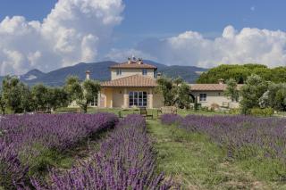 Agriturismo Villa Toscana - Campiglia Marittima - 5