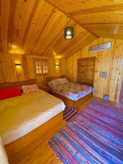 King swer - Taba - 3