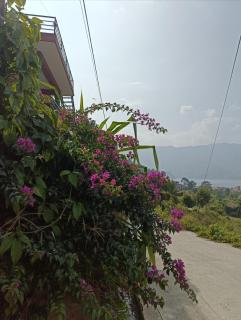 Hotel Peace Dream - Pokhara - 8
