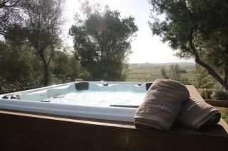 Es Mirador de Vernissa Jacuzzi, sauna y piscina - 8