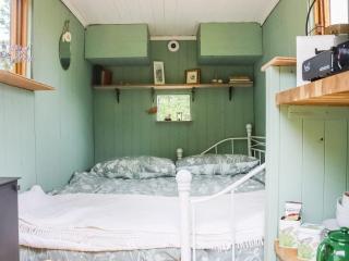 Falgate Shepherds Hut - Caston - 7