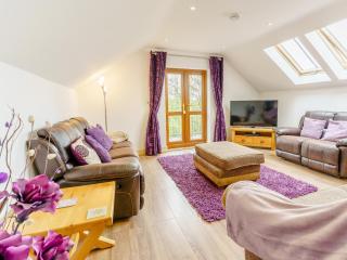 Cwmhyfryd - Llanllwchaiarn - 8