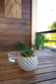 Studio Hibis Blue - 6