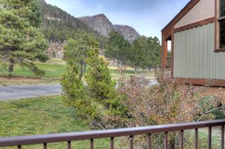 Tamarron Gambel Oak 703 - 5