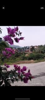 Hotel Peace Dream - Pokhara - 4