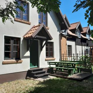 Zielony Bursztyn - Ostrowo - 5