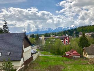 Amazing view Bucegi Montaines - Predeal - 2
