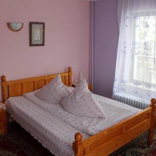 Amazing view Bucegi Montaines - Predeal - 9