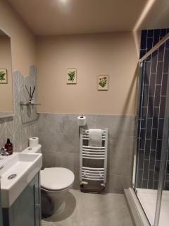 The Bluebell - Bath - 6
