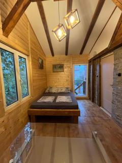 Vila Autentik - Novi Sad - 4
