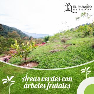 Cabaña el Guayabal - Pejibaye - 8