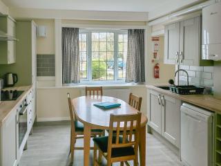 Ivy-W40854 - Llanddona - 7