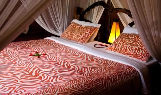 Karama Lodge - Arusha - 9