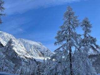 Duplex 4 personnes - Chamonix - 5