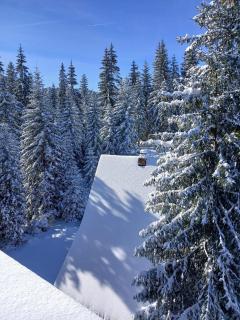 Atos Dijana - Jahorina - 6