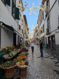 Art House Funchalet - Funchal - 7