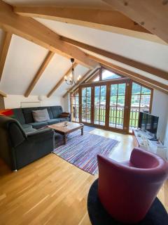 Isabella 5 by SMR Rauris Apartments - inc Spa and near Gondola - Rauris - 9