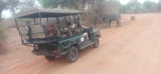 Royal South Luangwa Safaris Lodge - 2