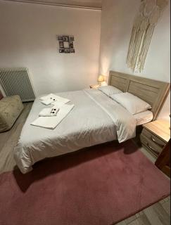 Baros house - Arachova - 5
