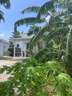 Cozy home in Curaçao - 7