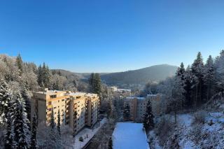 Panorama-Perle - Bad Herrenalb - 7