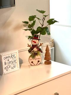 Rochester Gem: 3BR Near All! - Rochester - 7