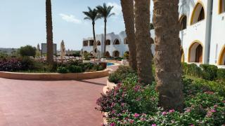 Domina Coral Bay Prestige - Sharm el Sheikh - 8