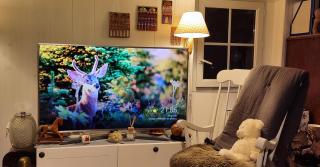 PARIS AUTHENTIC HOUSE studio with green courtyard 12 rue labourse Gentilly 94250 - 5